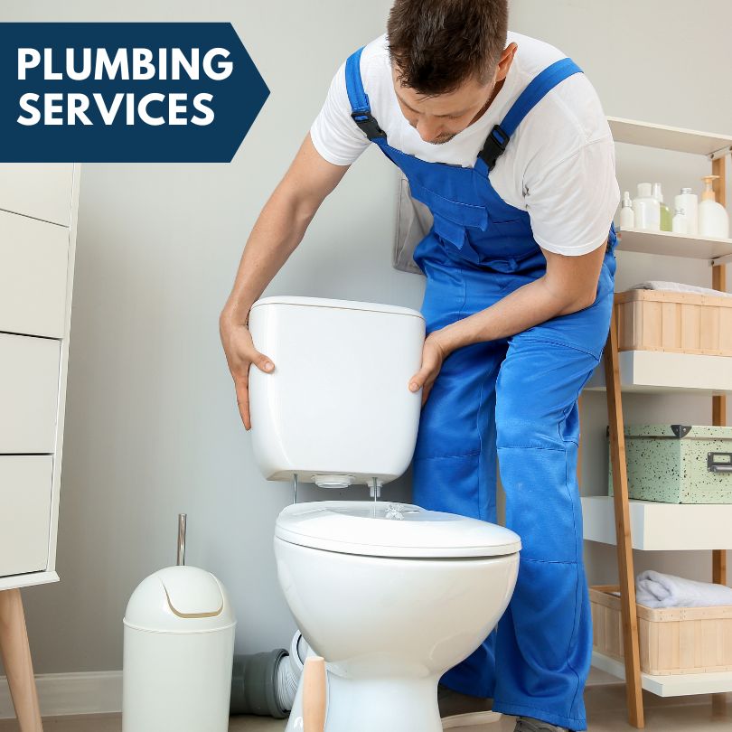 Plumbing Company in Carsonville, MI